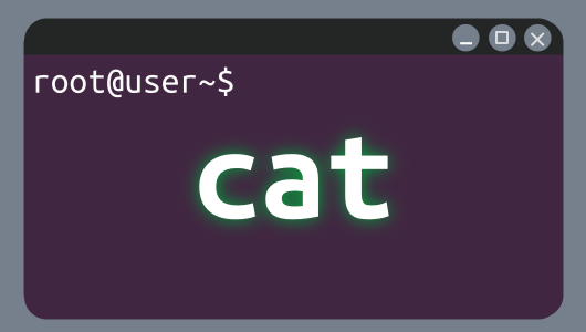 catコマンドの使い方紹介、Linux Ubuntu初学者向けに、よく使うオプションを優先的に紹介しています。