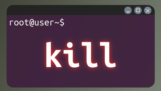 killコマンドの使い方紹介、Linux Ubuntu初学者向けに、よく使うオプションを優先的に紹介しています。
