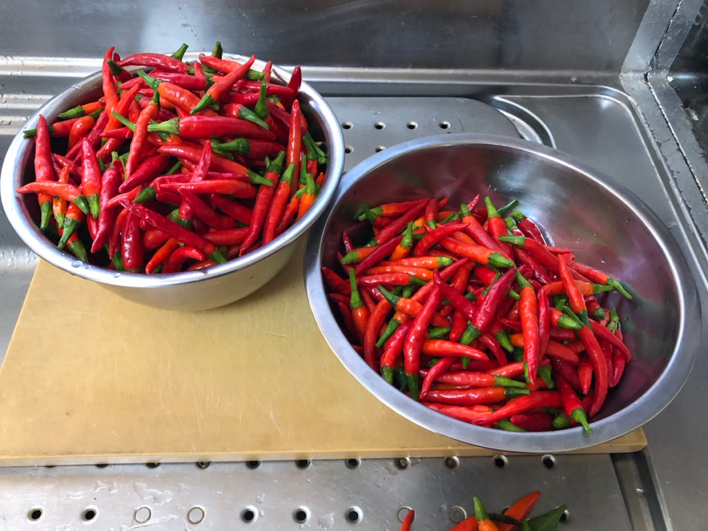 収穫した唐辛子