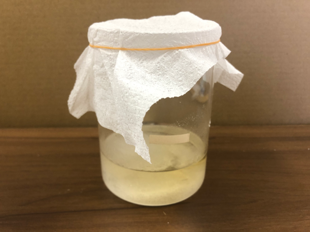 ロッシェル塩の結晶を作っていたら大きな塊になってしまった画像