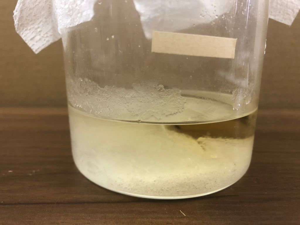 容器を横から見た様子、溶液は半分くらいになっている