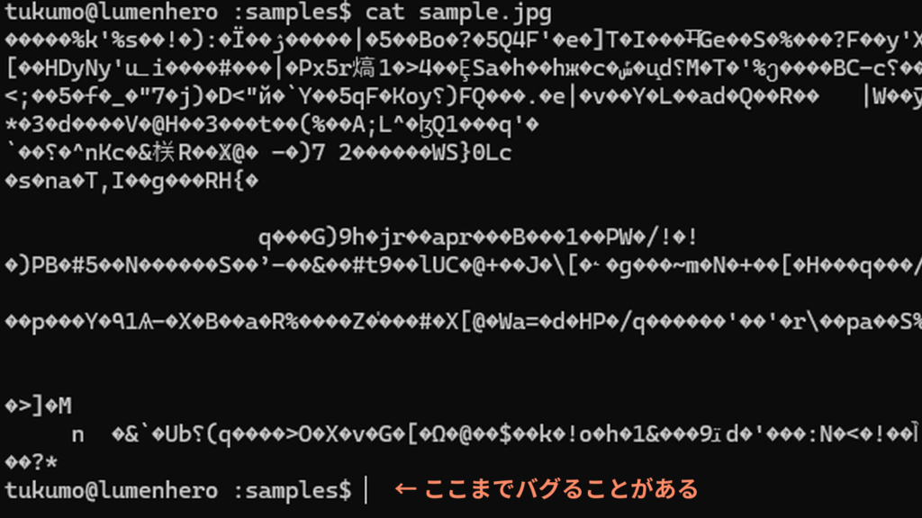 linuxのターミナルでbinaryファイルをcatして、文字化けしてしまっている例