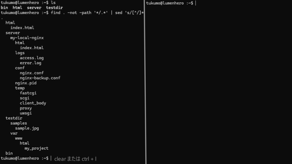 ターミナルをきれいにする方法 clearコマンドまたはctrl*+l入力結果