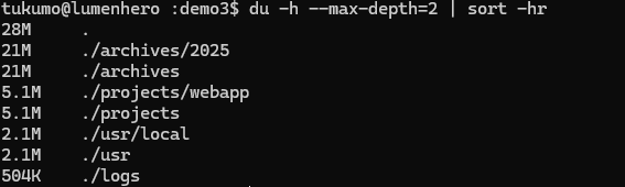duで深さ指定して容量をソートして表示したターミナル例