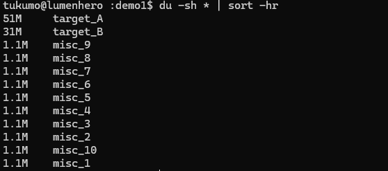 duコマンドの基本系、du -shをソートした結果のターミナル出力例