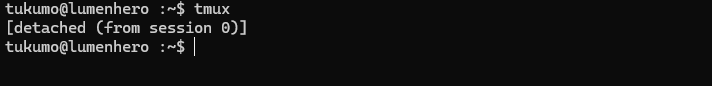 tmuxでデタッチしたときのターミナル画面の例