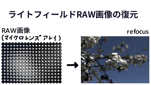 ライトフィールドカメラのRAW画像から復元をpythonで行う実装を行った記事のサムネイル